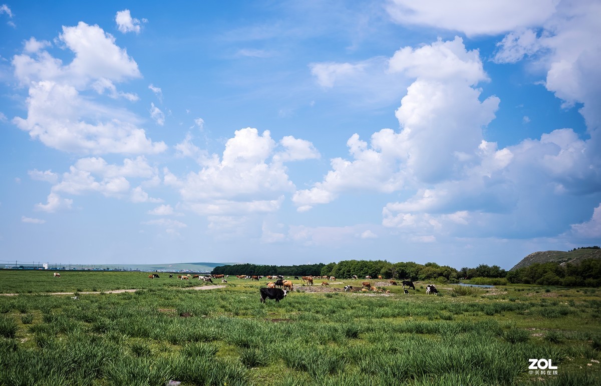 自驾内蒙古（M10拍摄风光）