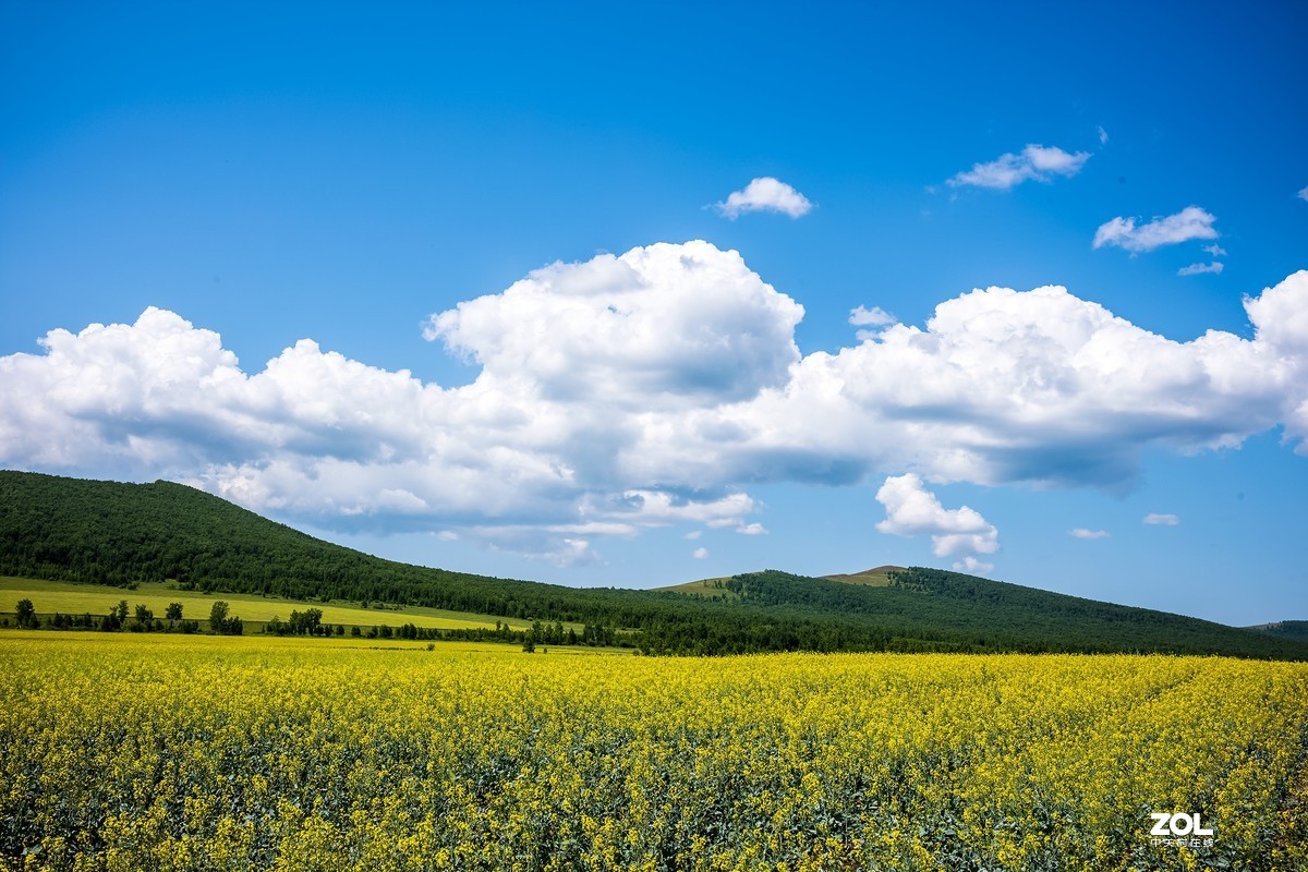 自驾内蒙古（M10拍摄风光）