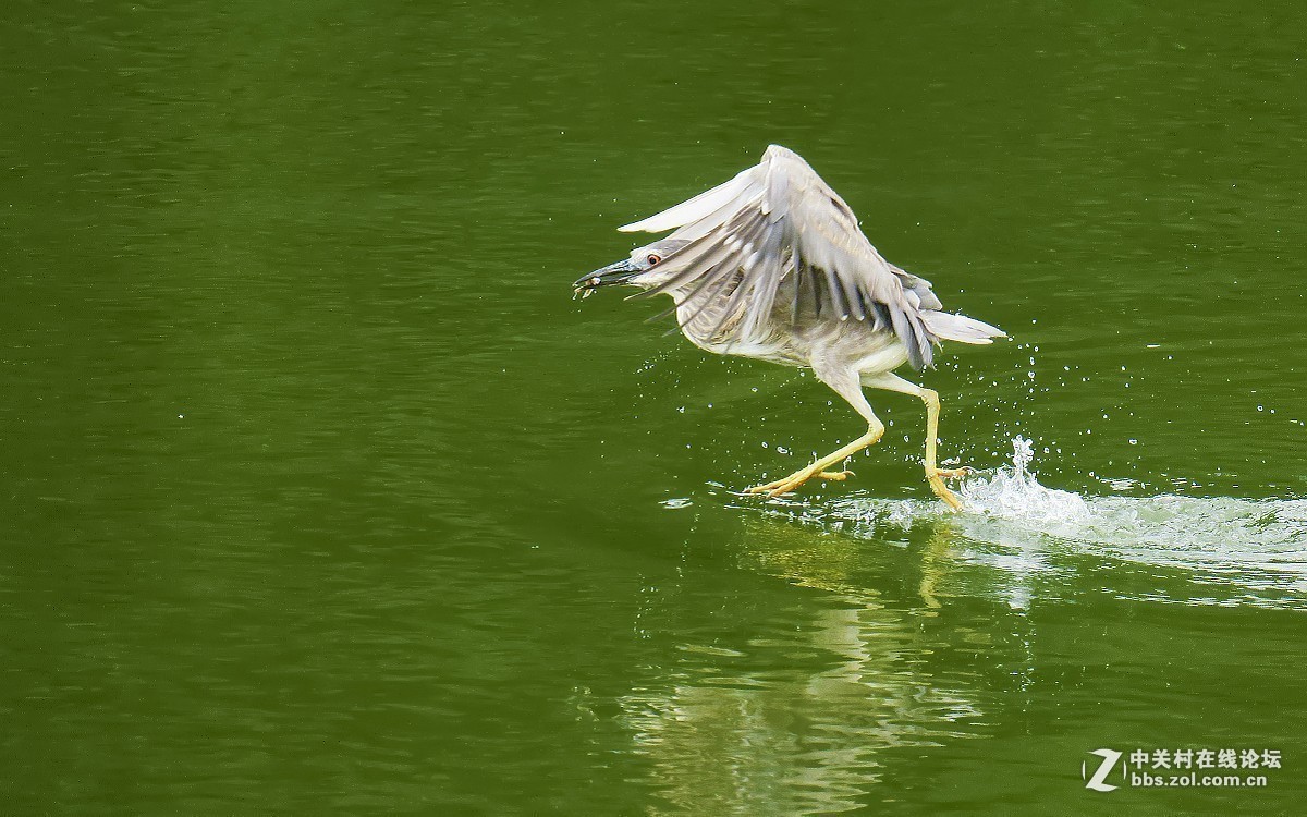 版主坐堂＃【南京星空(中国)】2019年05月部分优秀作品欣赏
