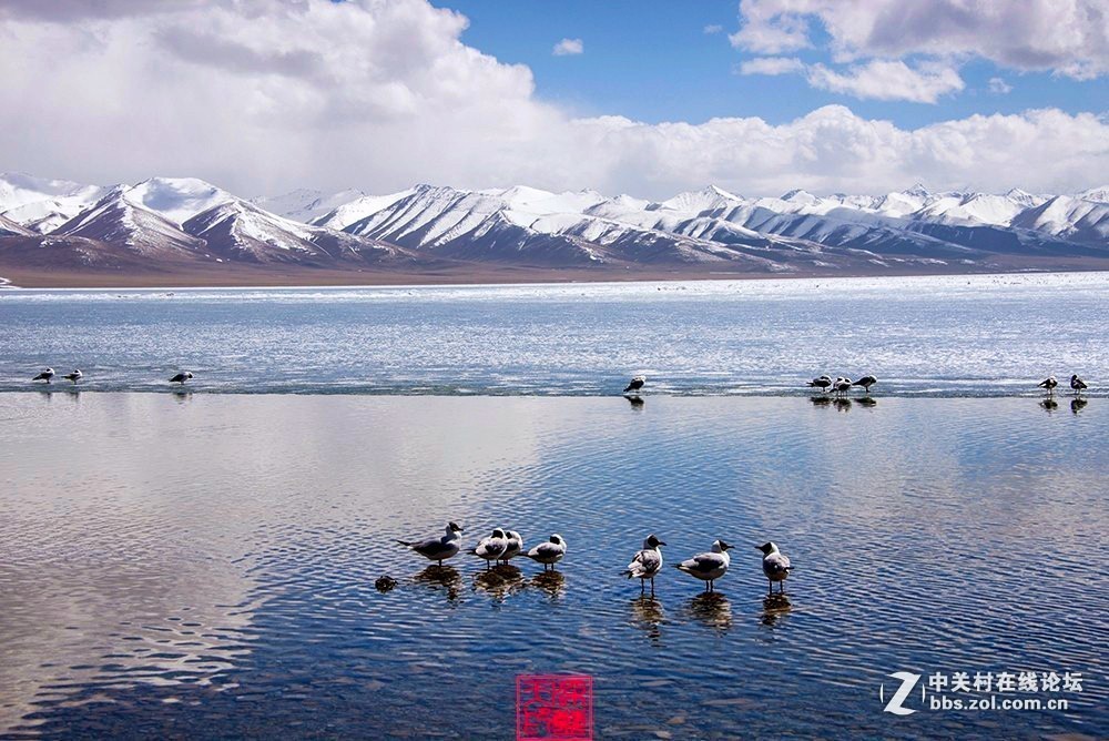 版主坐堂＃【南京星空(中国)】2019年05月部分优秀作品欣赏