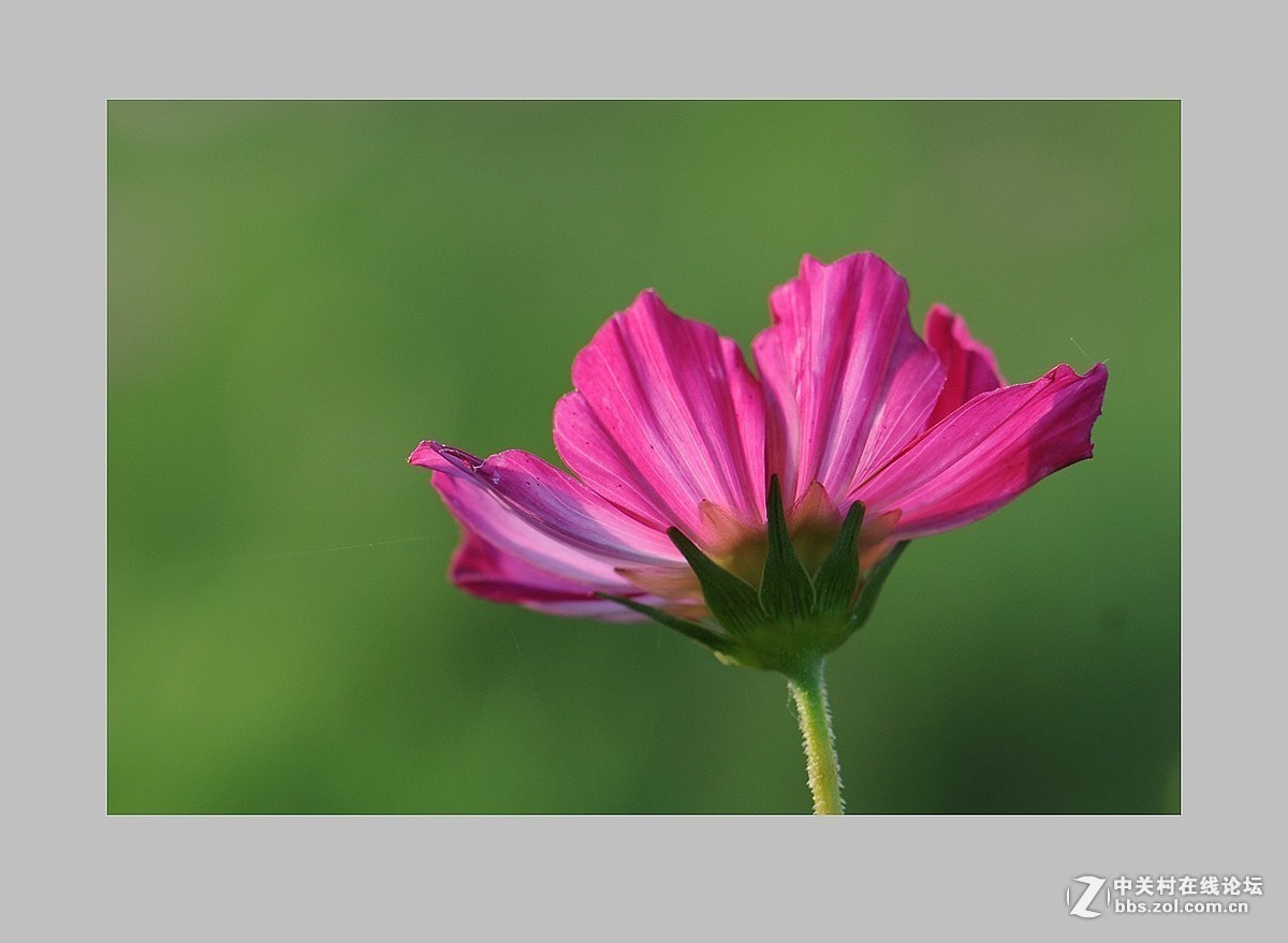 版主坐堂＃【南京星空(中国)】2019年05月部分优秀作品欣赏