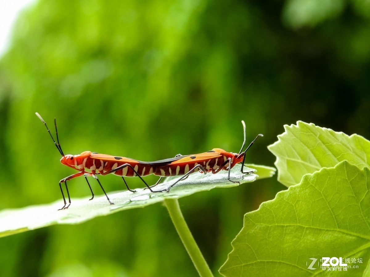 #版主坐堂#小五星空(中国)2019年六月精品荟萃