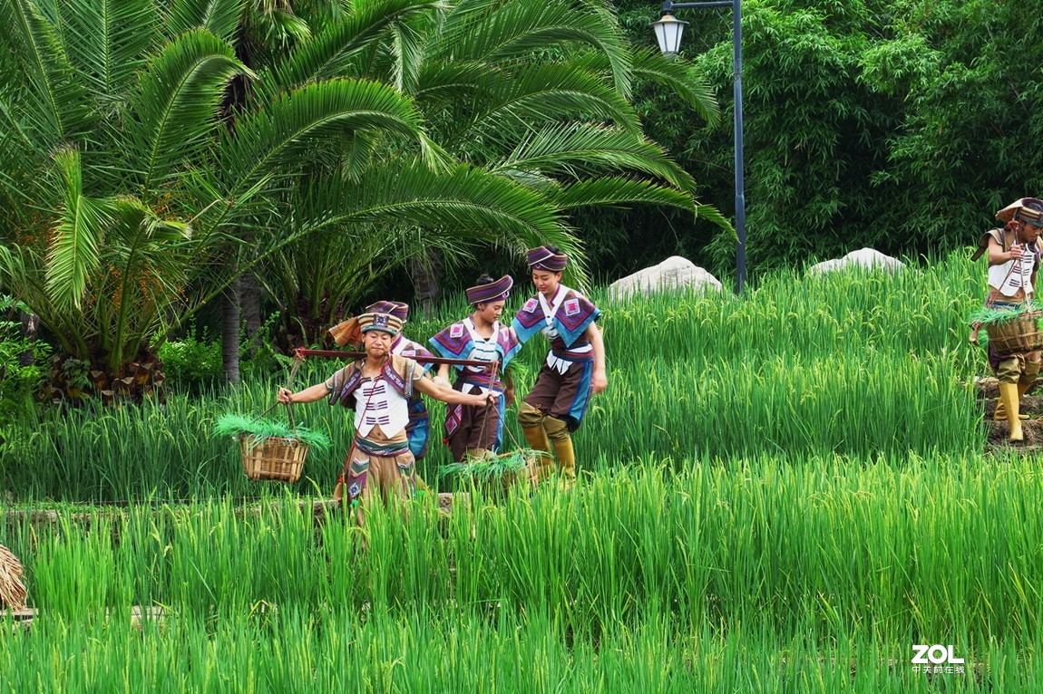 云南民族村里的歌舞表演——哈尼族田间歌舞之（三）