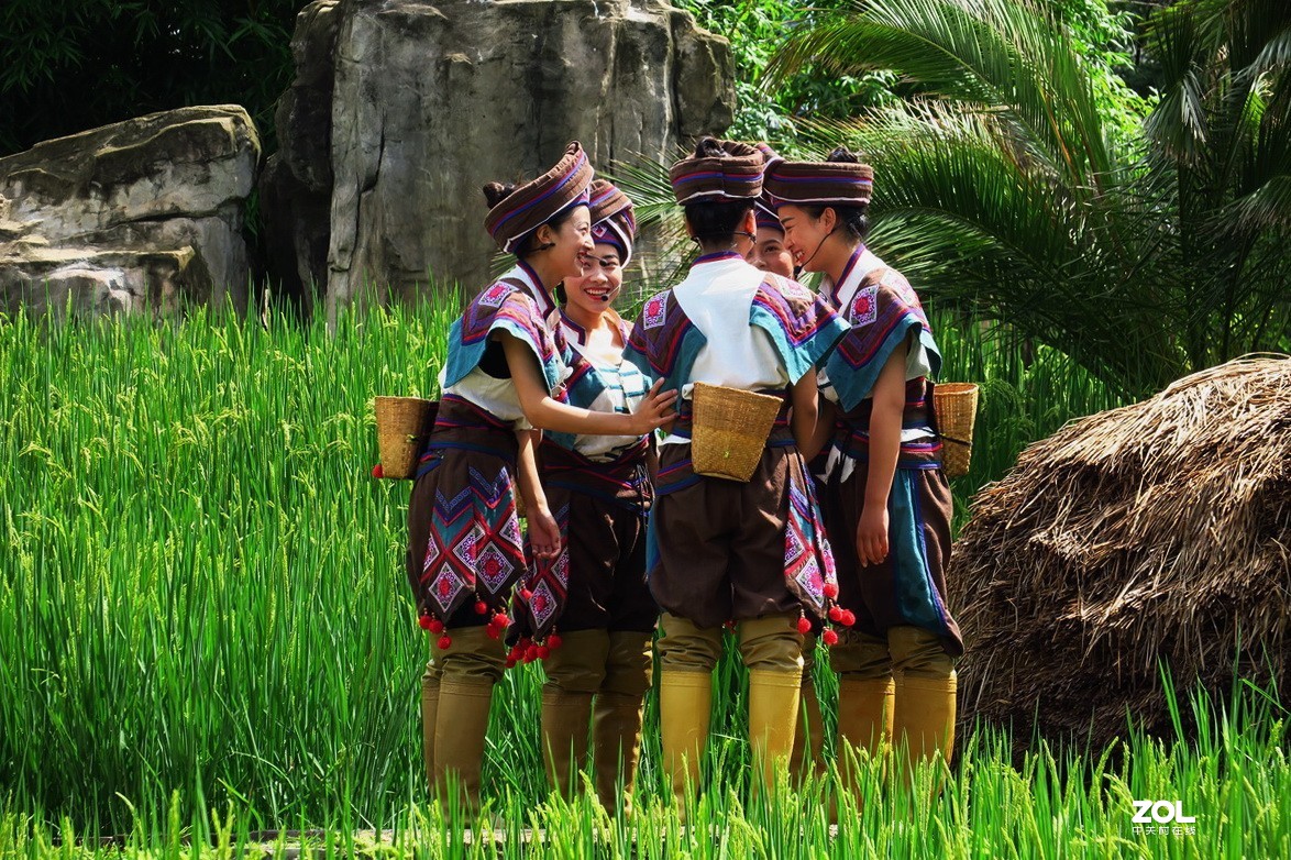 云南民族村里的歌舞表演——哈尼族田间歌舞之（三）