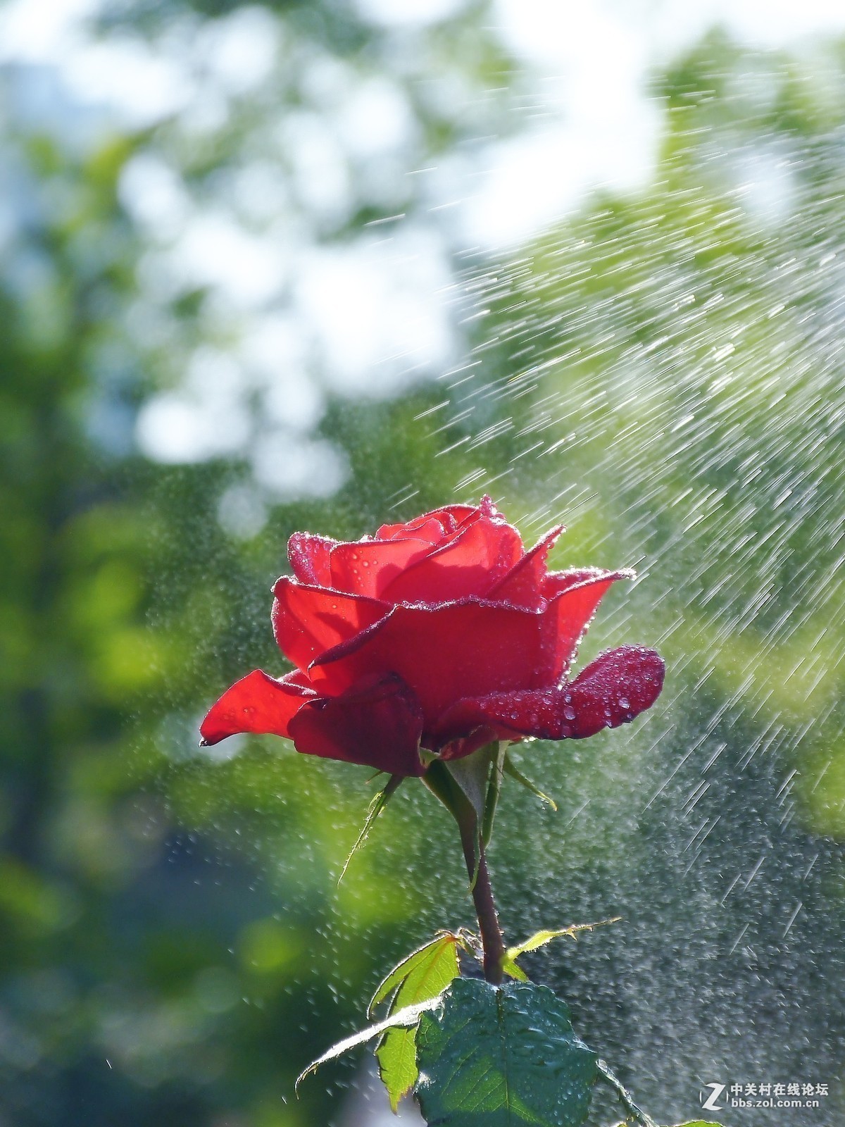 版主坐堂＃【南京星空(中国)】2019年05月部分优秀作品欣赏