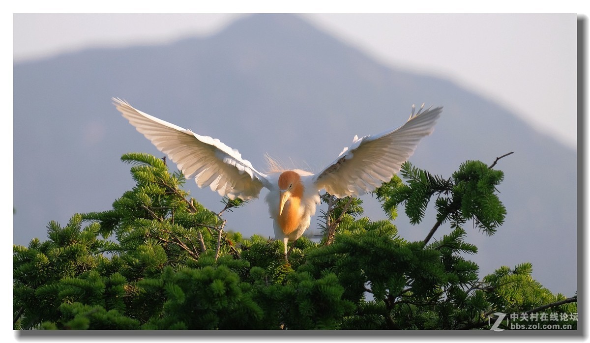 版主坐堂＃【南京星空(中国)】2019年05月部分优秀作品欣赏