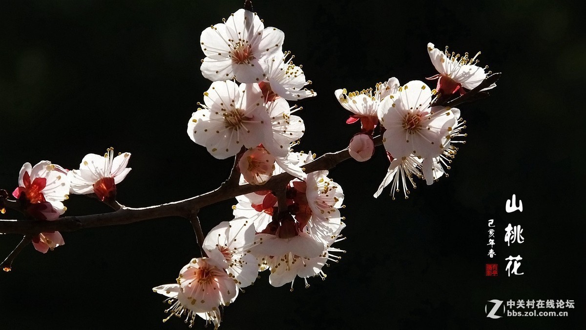 版主坐堂＃【南京星空(中国)】2019年05月部分优秀作品欣赏