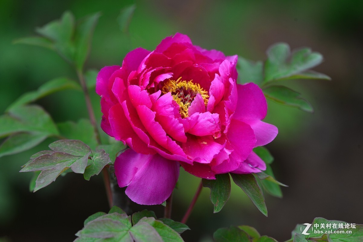 版主坐堂＃【南京星空(中国)】2019年05月部分优秀作品欣赏