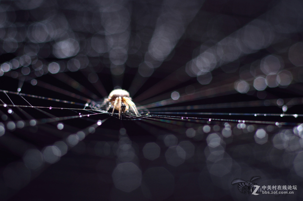 火炉山第一次打虫记