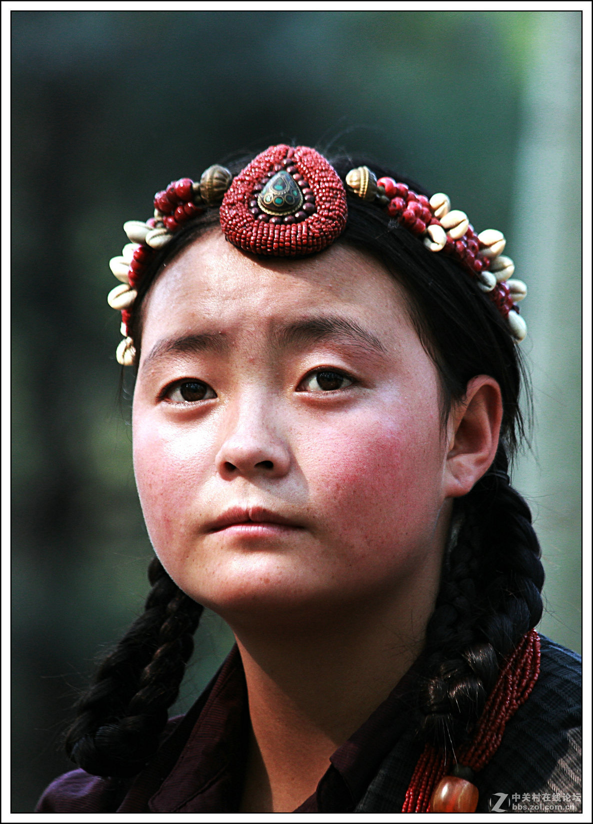藏族女孩---祝大家五一节快乐!-中关村在线摄影论坛