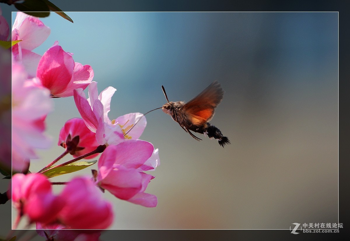 #版主坐堂#[尼康D7100星空(中国)]2015年4月份优秀精华作品总汇