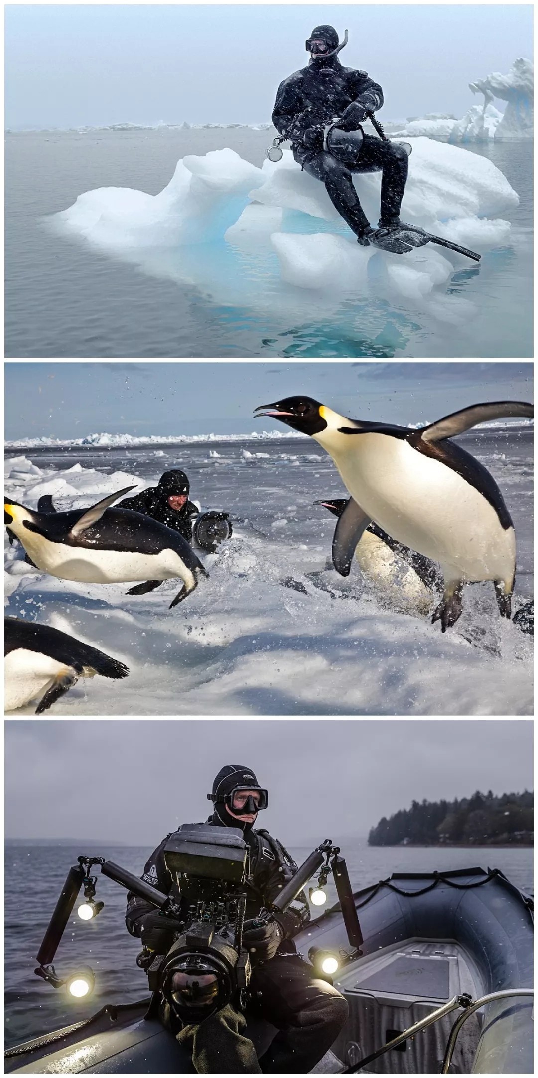 国家地理摄影师保罗.尼克伦宣布“出佳为尼”