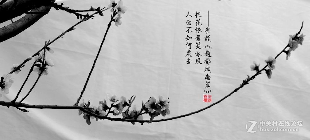 桃花依旧笑春风