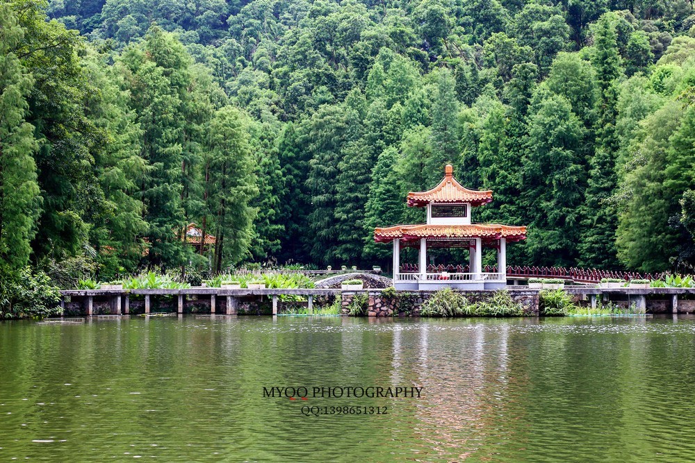 深圳仙湖植物园