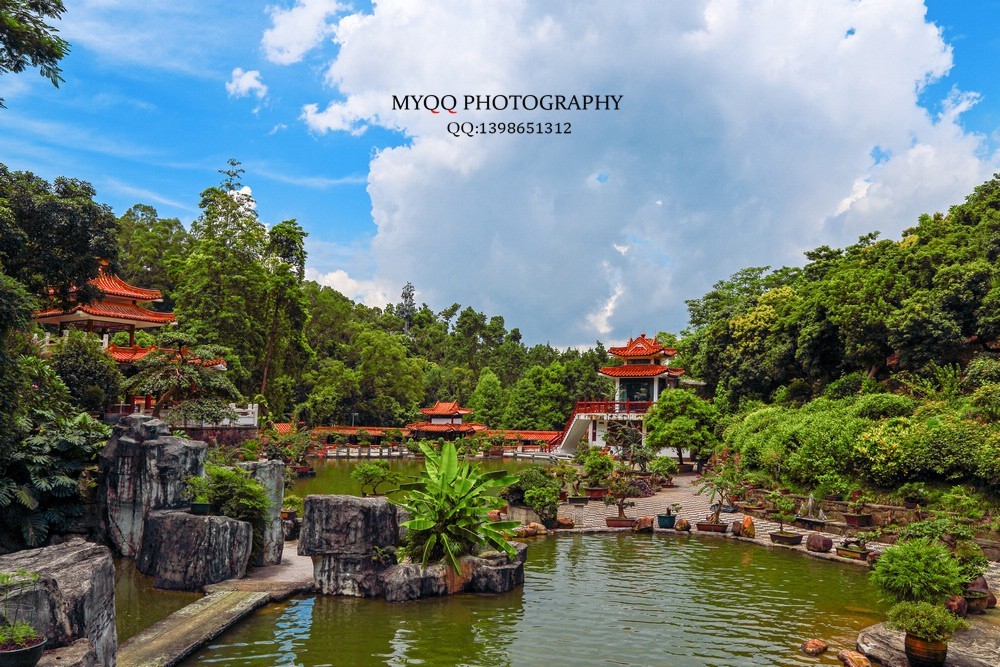 深圳仙湖植物園