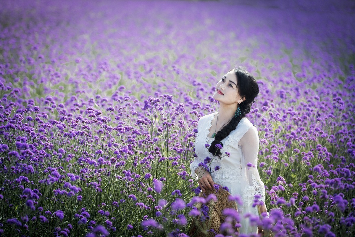 Free Images : nature, grass, girl, field, lawn, meadow, sunlight ...