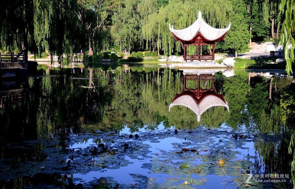 陶然亭公园风景