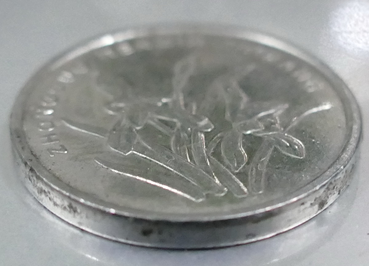 fz1000微距对焦测试