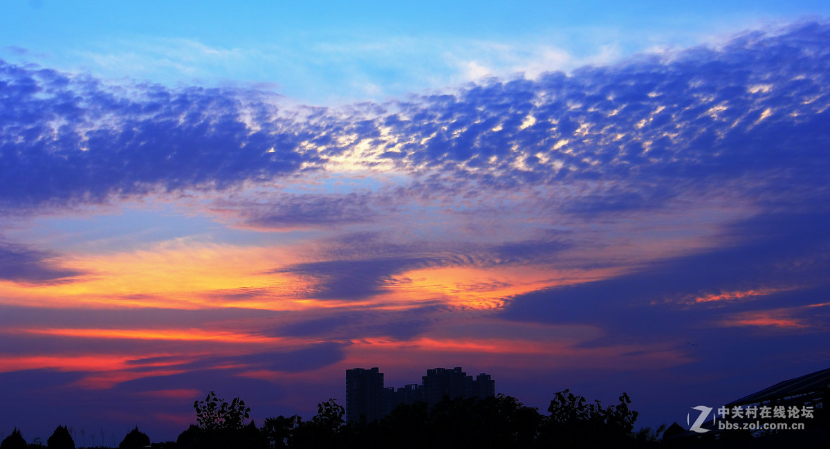 魅力夕阳。