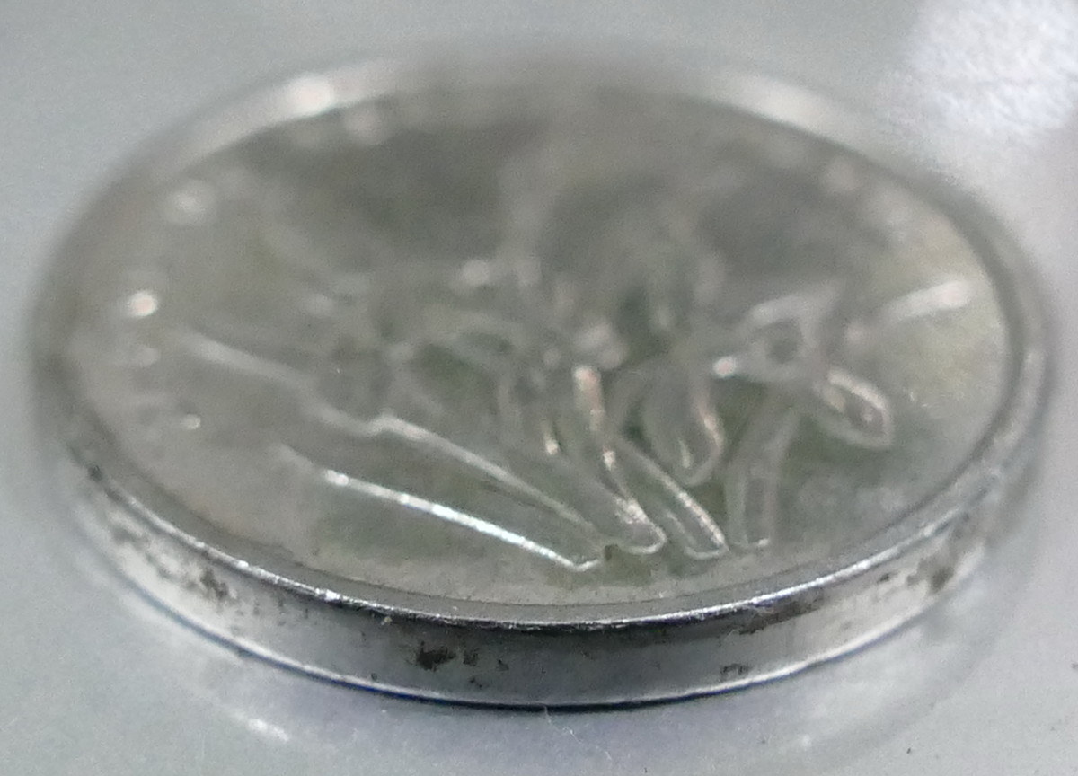 fz1000微距对焦测试