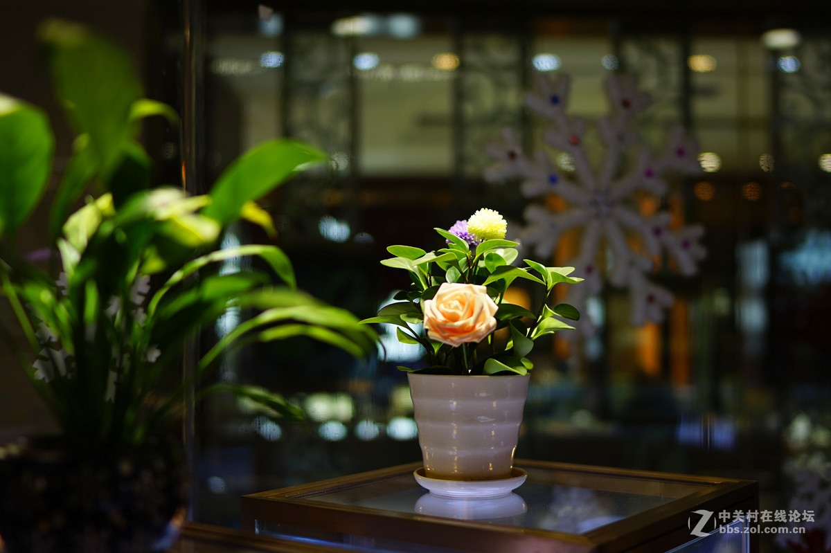 逛珠宝店（FE35/1.4镜头小试）续