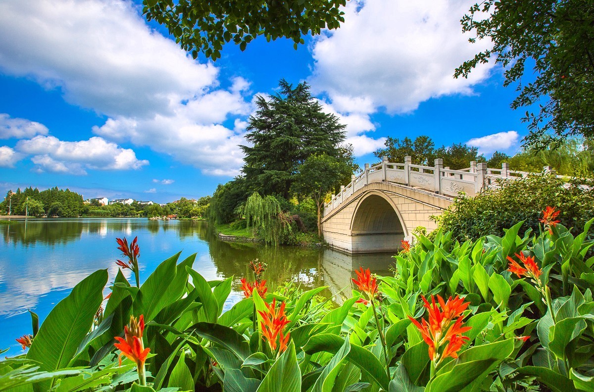 2019-08-06仪征扬子公园(一)-中关村在线摄影论坛