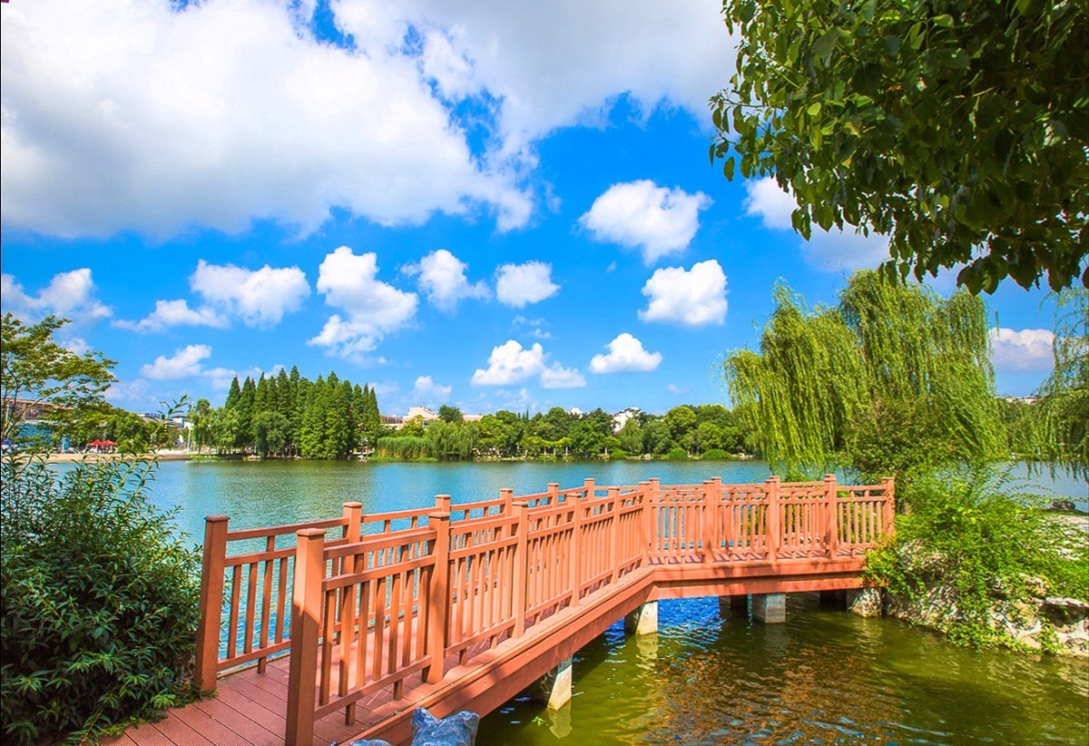 2019-08-06仪征扬子公园(一)-中关村在线摄影论坛