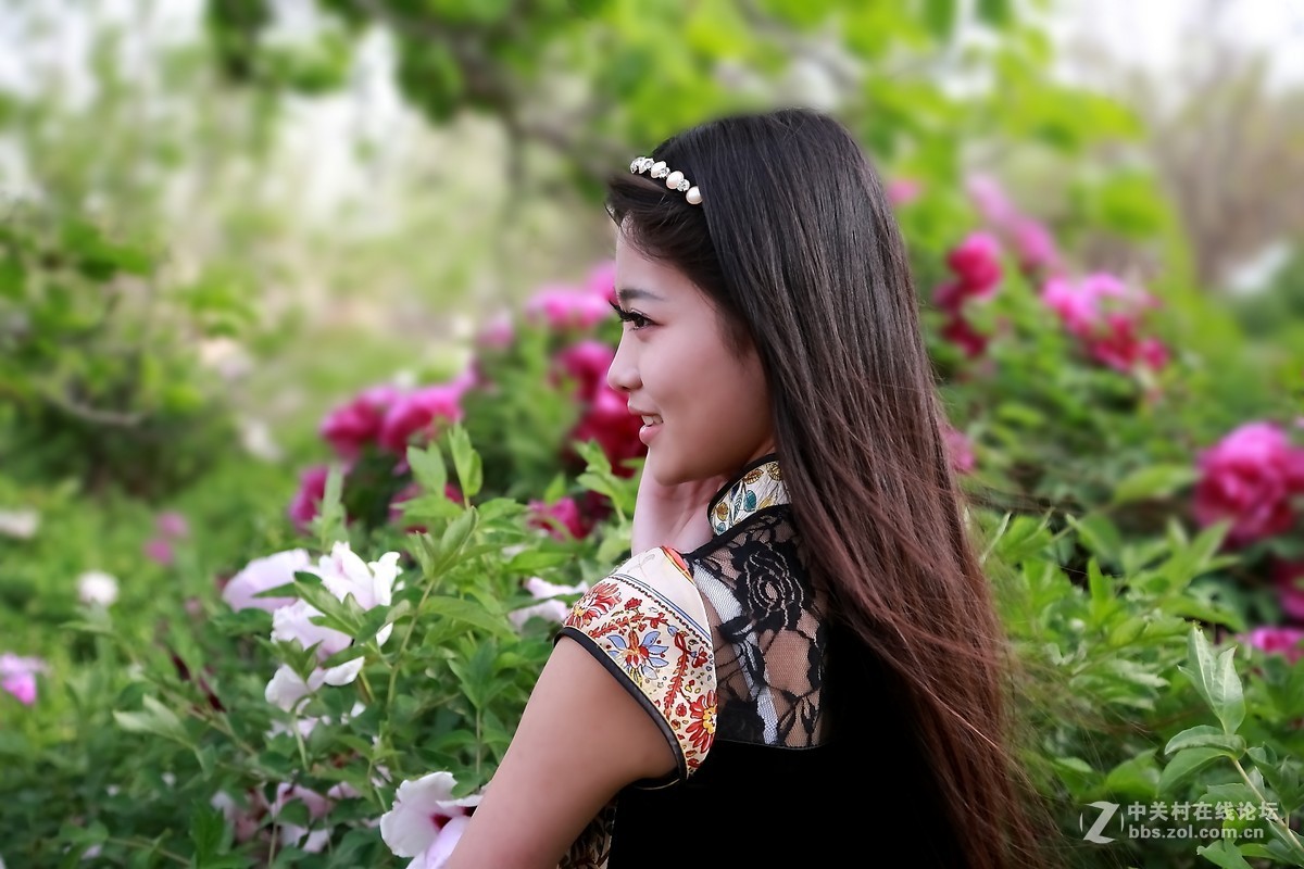 模特与牡丹（三）  祁连山歌