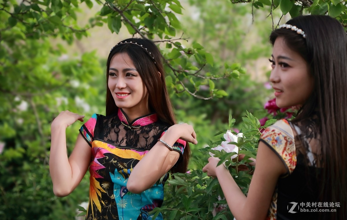 模特与牡丹（三）  祁连山歌