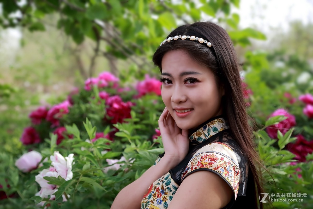 模特与牡丹（三）  祁连山歌