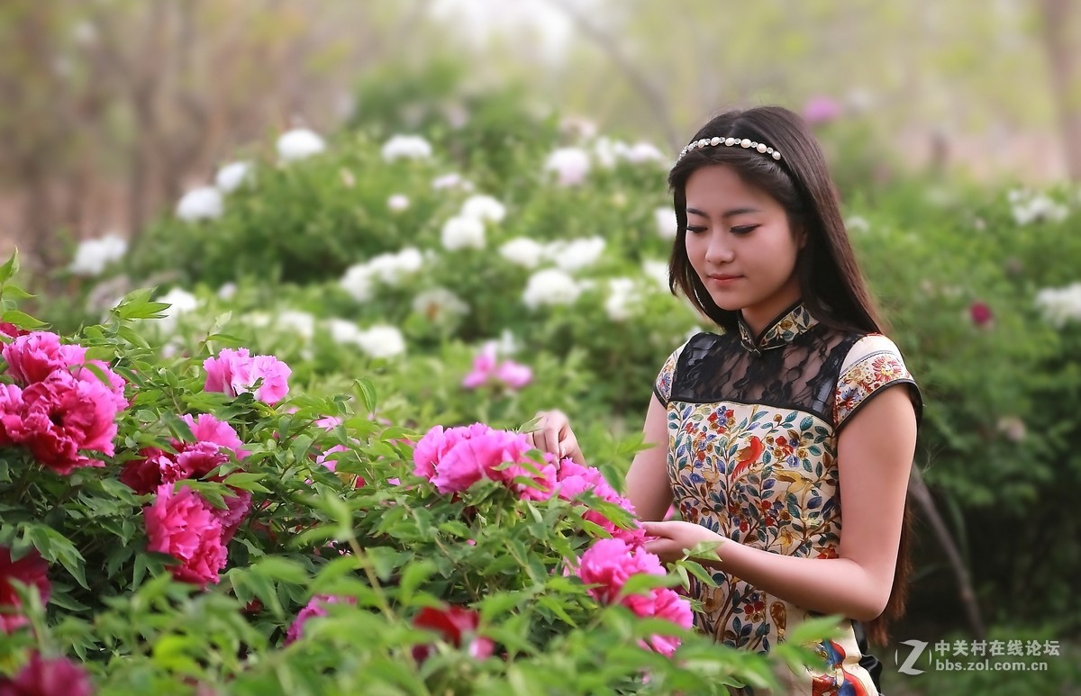 模特与牡丹（三）  祁连山歌