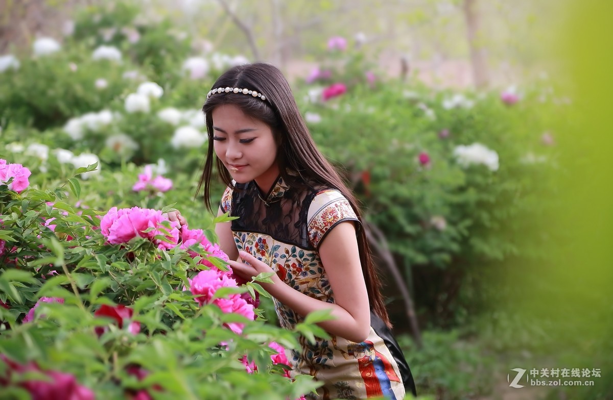 模特与牡丹（三）  祁连山歌