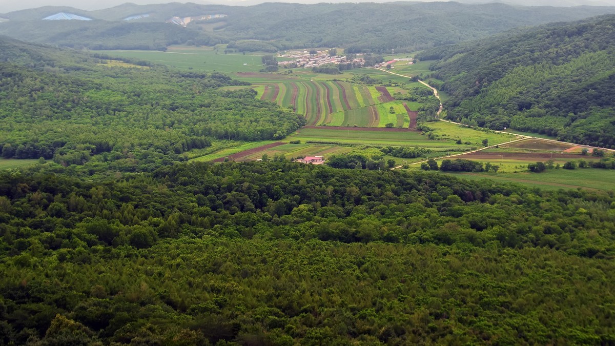 19.629雨中乐佛山