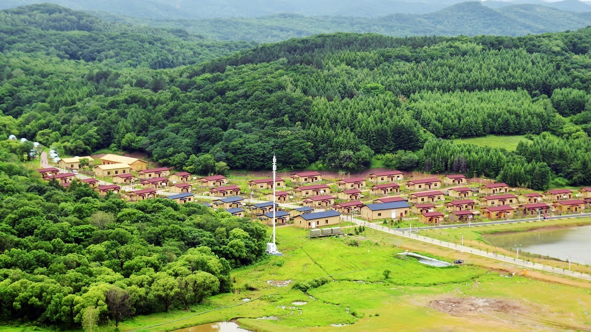 19.629雨中乐佛山