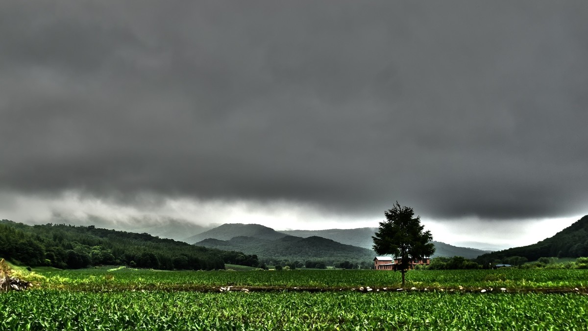 19.629雨中乐佛山
