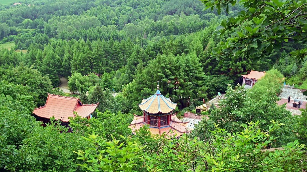 19.629雨中乐佛山