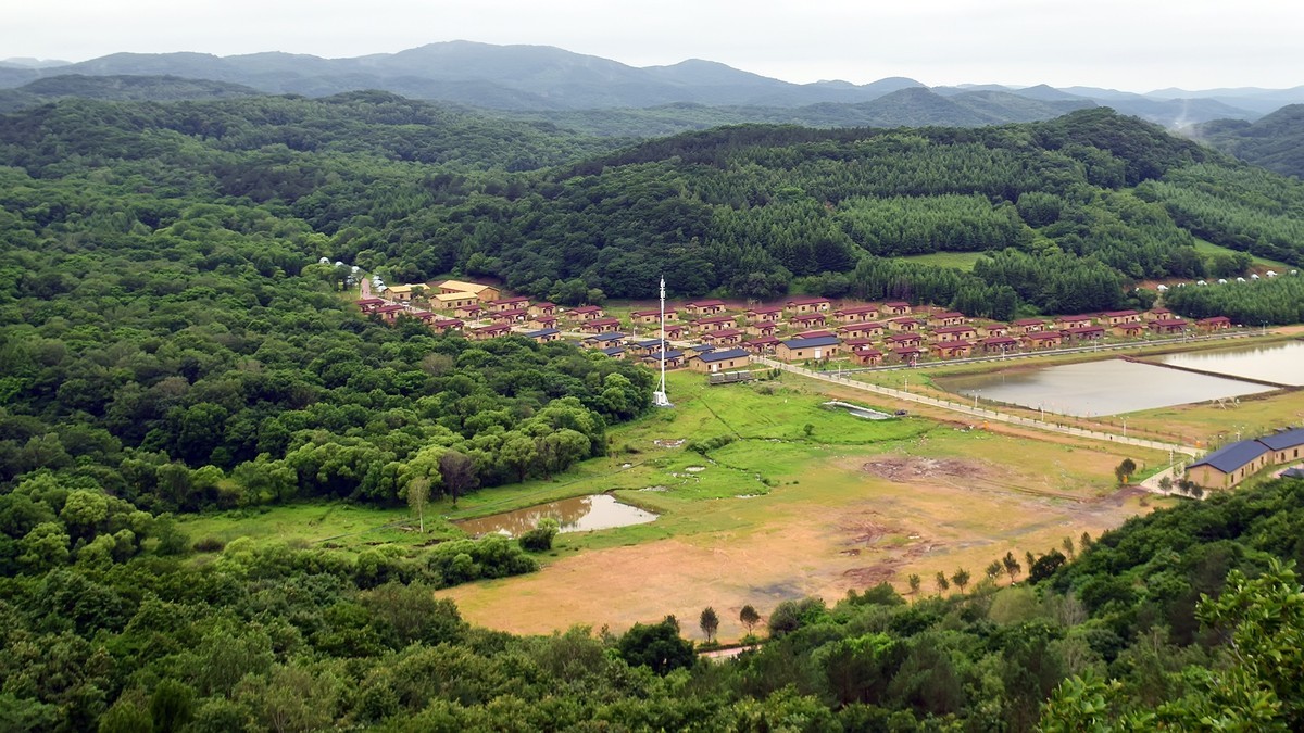 19.629雨中乐佛山