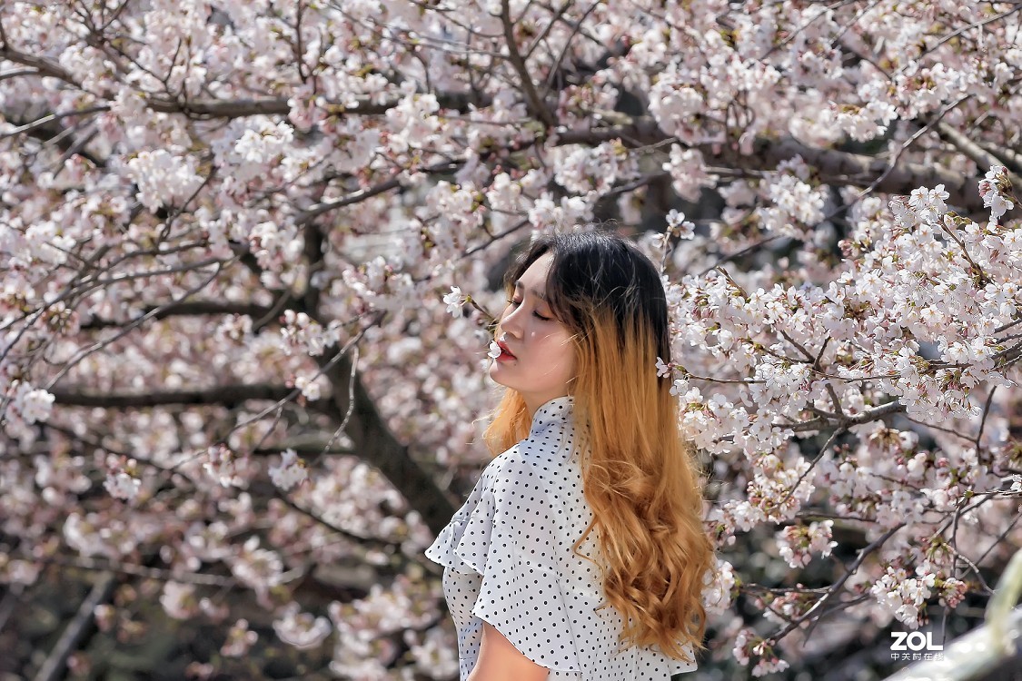 《花是静拍的但美女需要抓拍》哈哈哈！全是多余的话！反正题目不知怎么起了！