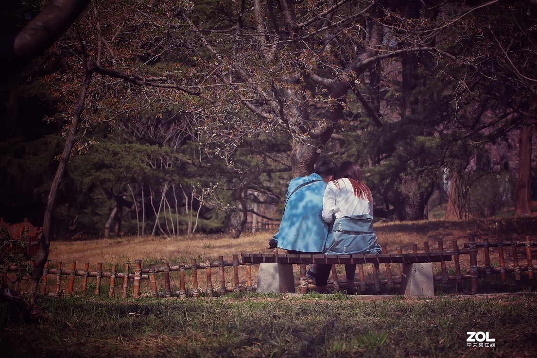 《花是静拍的但美女需要抓拍》哈哈哈！全是多余的话！反正题目不知怎么起了！