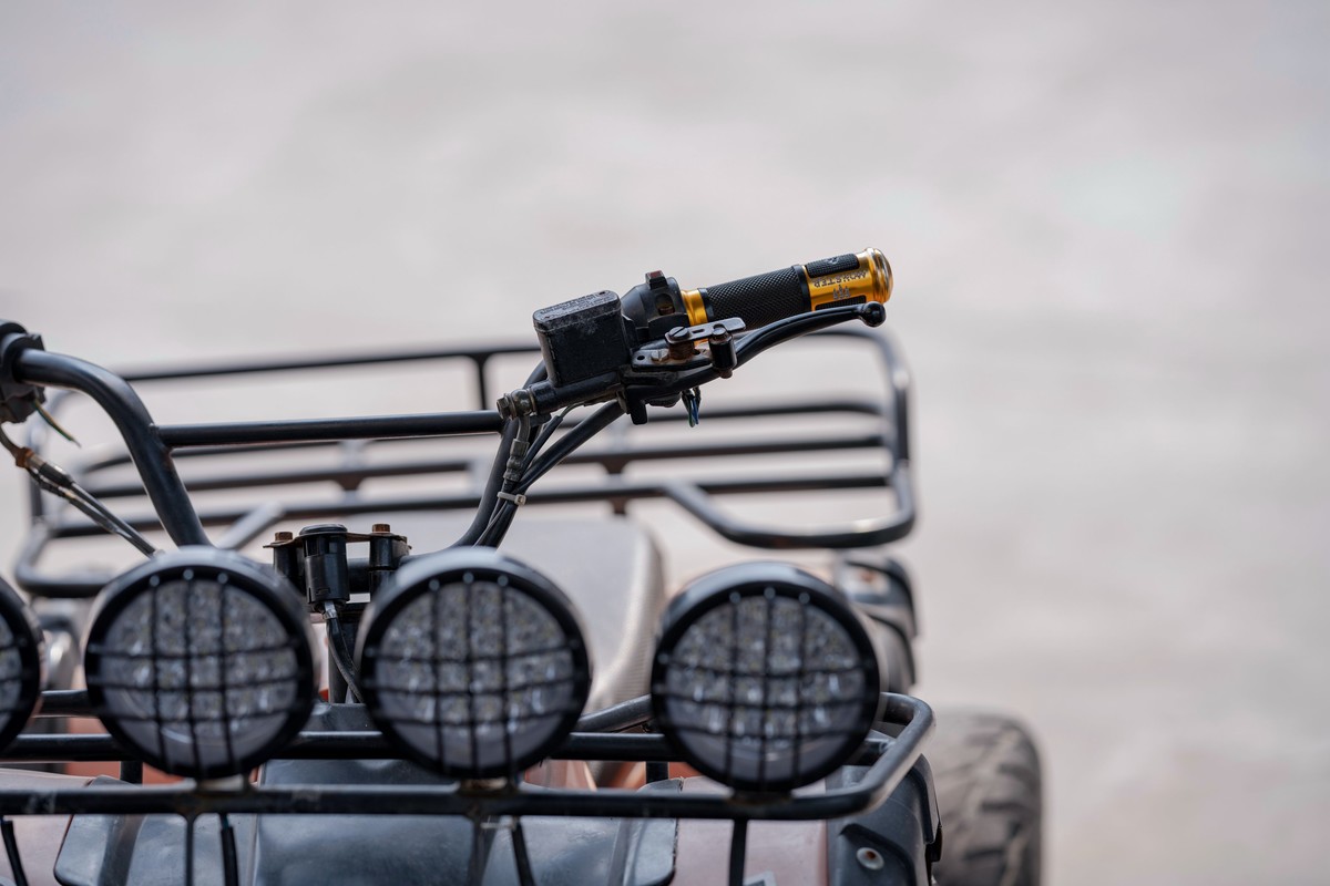 a7Rm4+FE 135mm F1.8 GM ( 不务正业  瞎拍 )