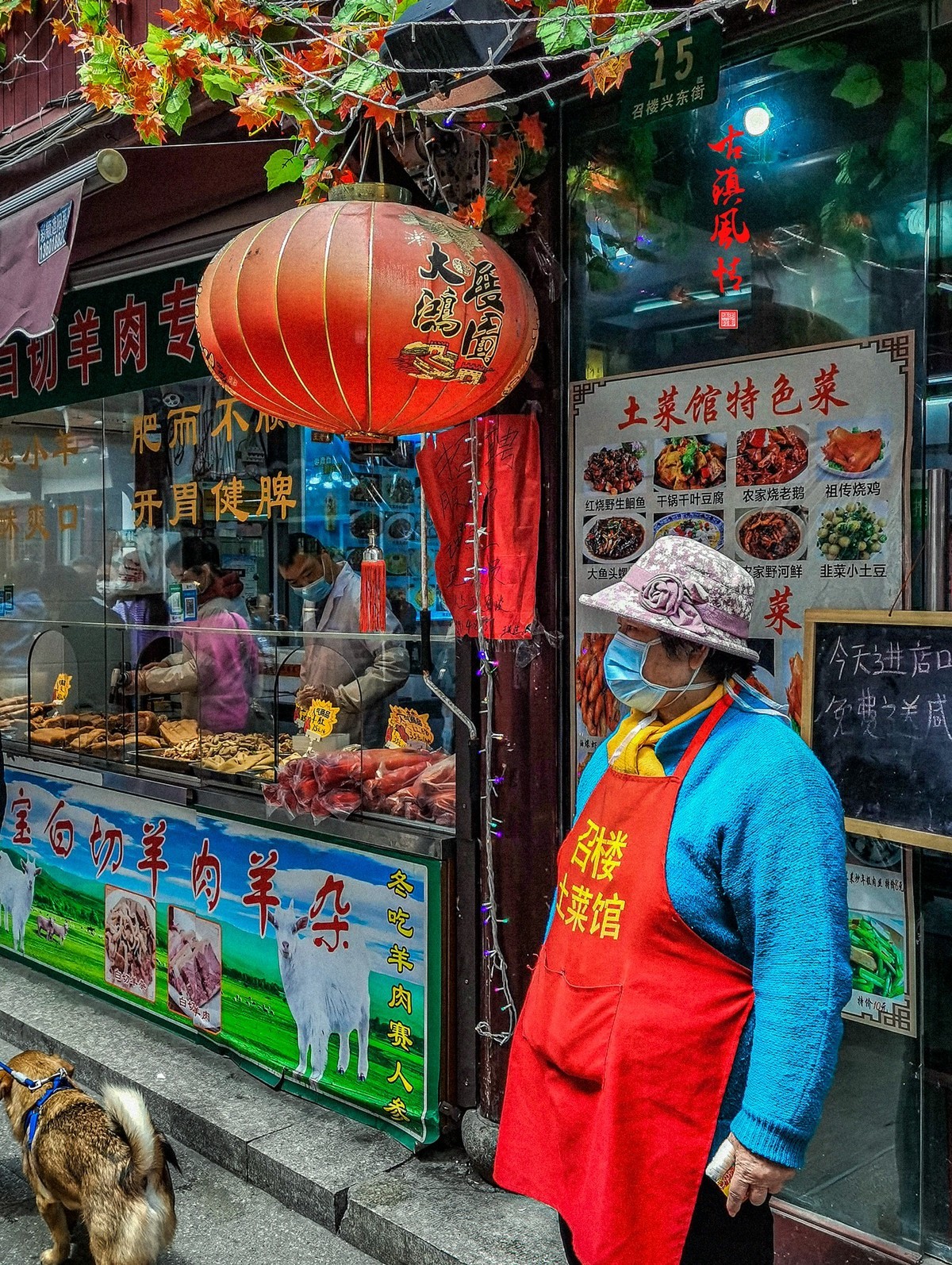 古镇风情 手机版
