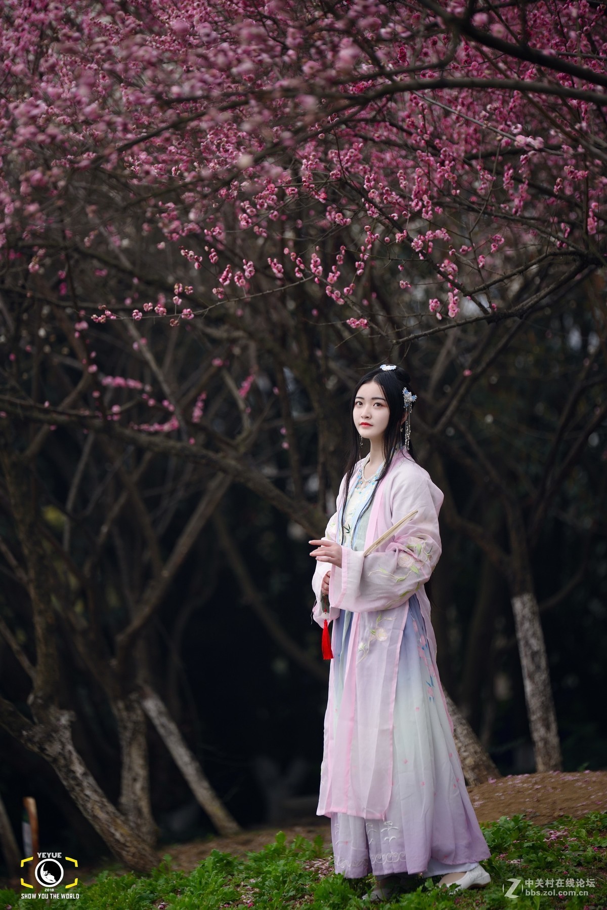 继续腾龙A009人像，成都植物园