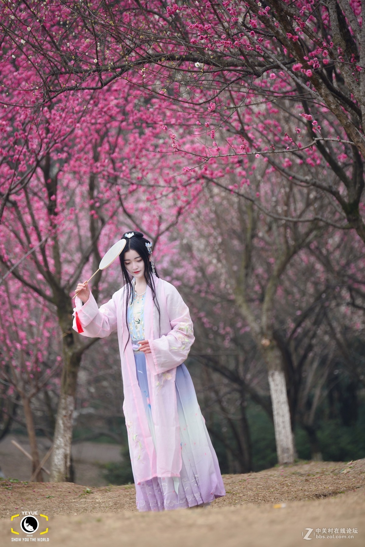 继续腾龙A009人像，成都植物园