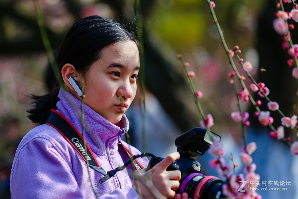 小区中梅花也开了