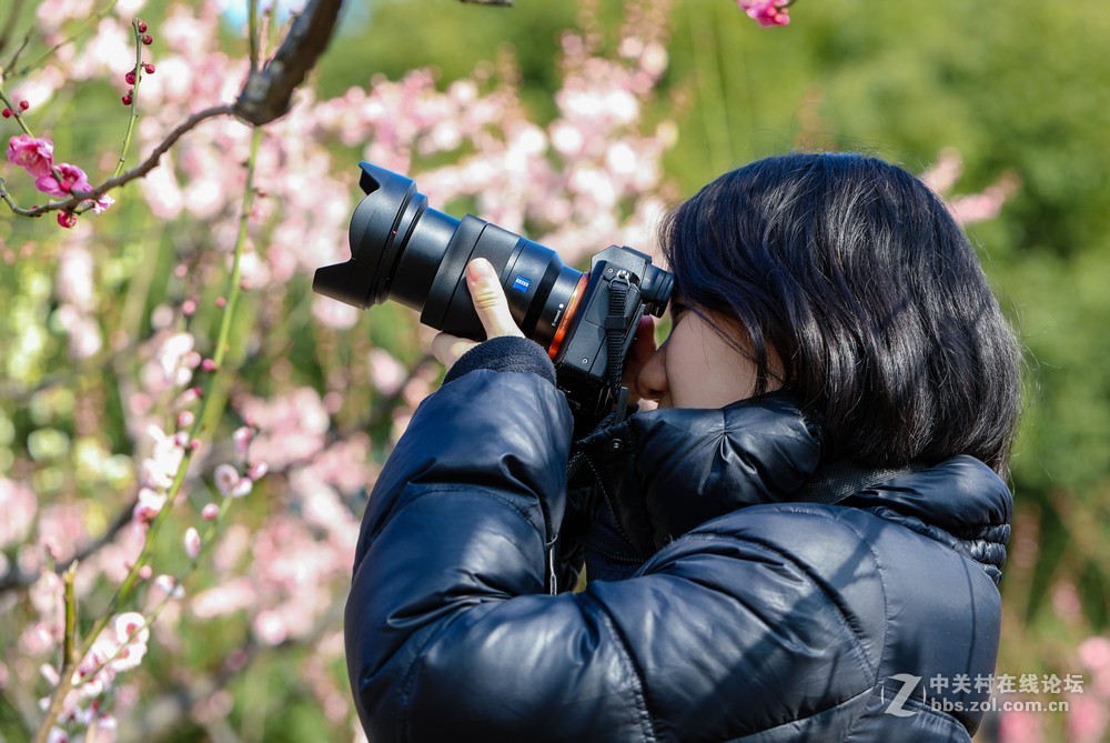 小区中梅花也开了