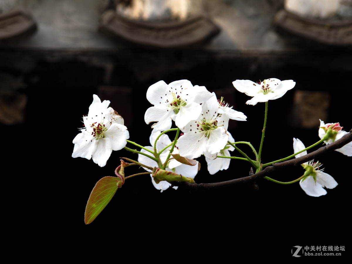 好久没来了，冒下泡！