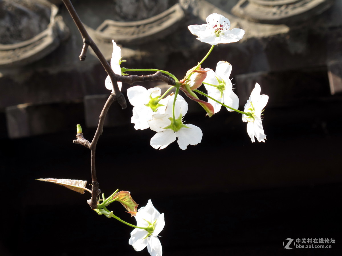 好久没来了，冒下泡！