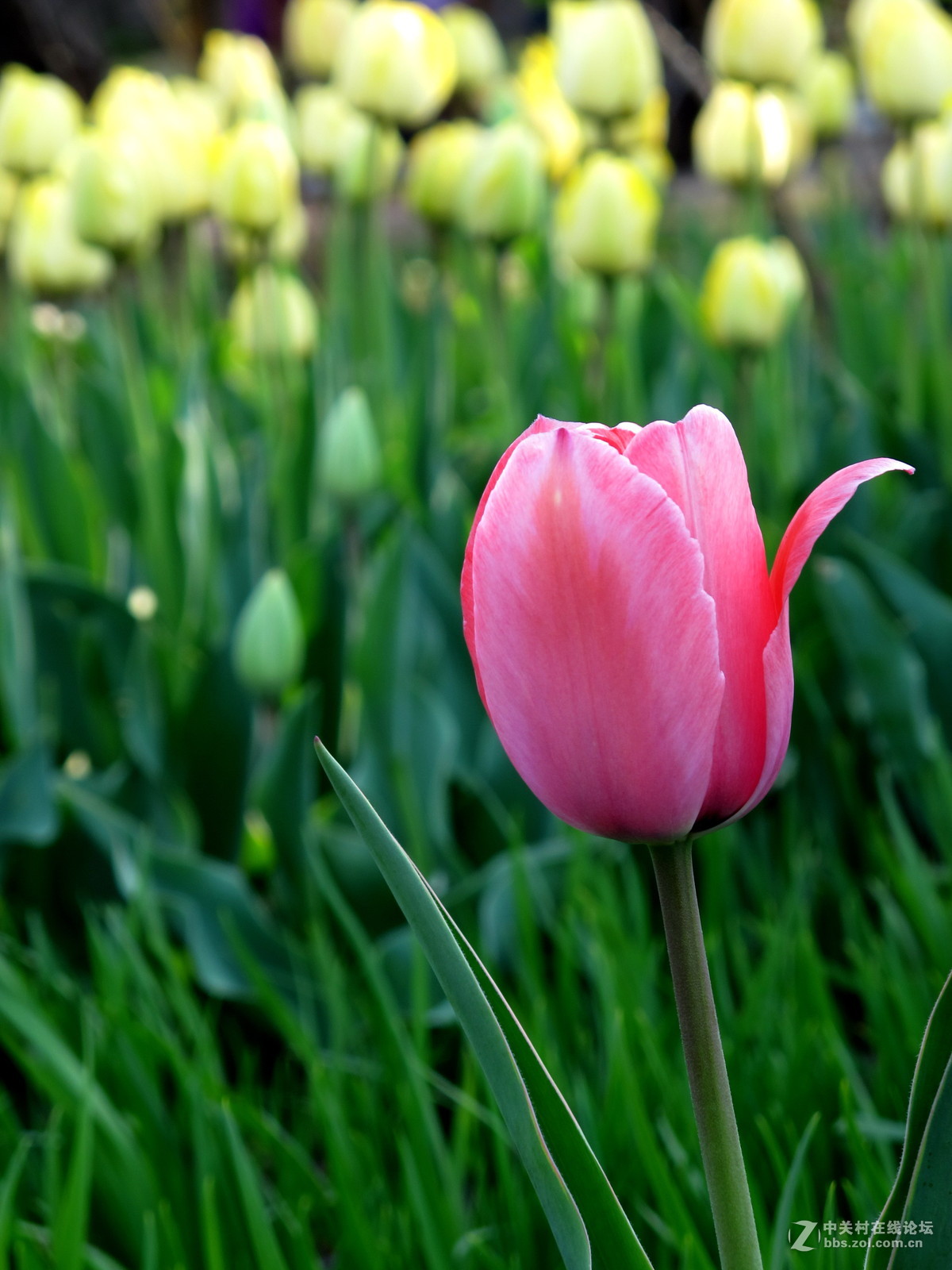 好久没来了，冒下泡！