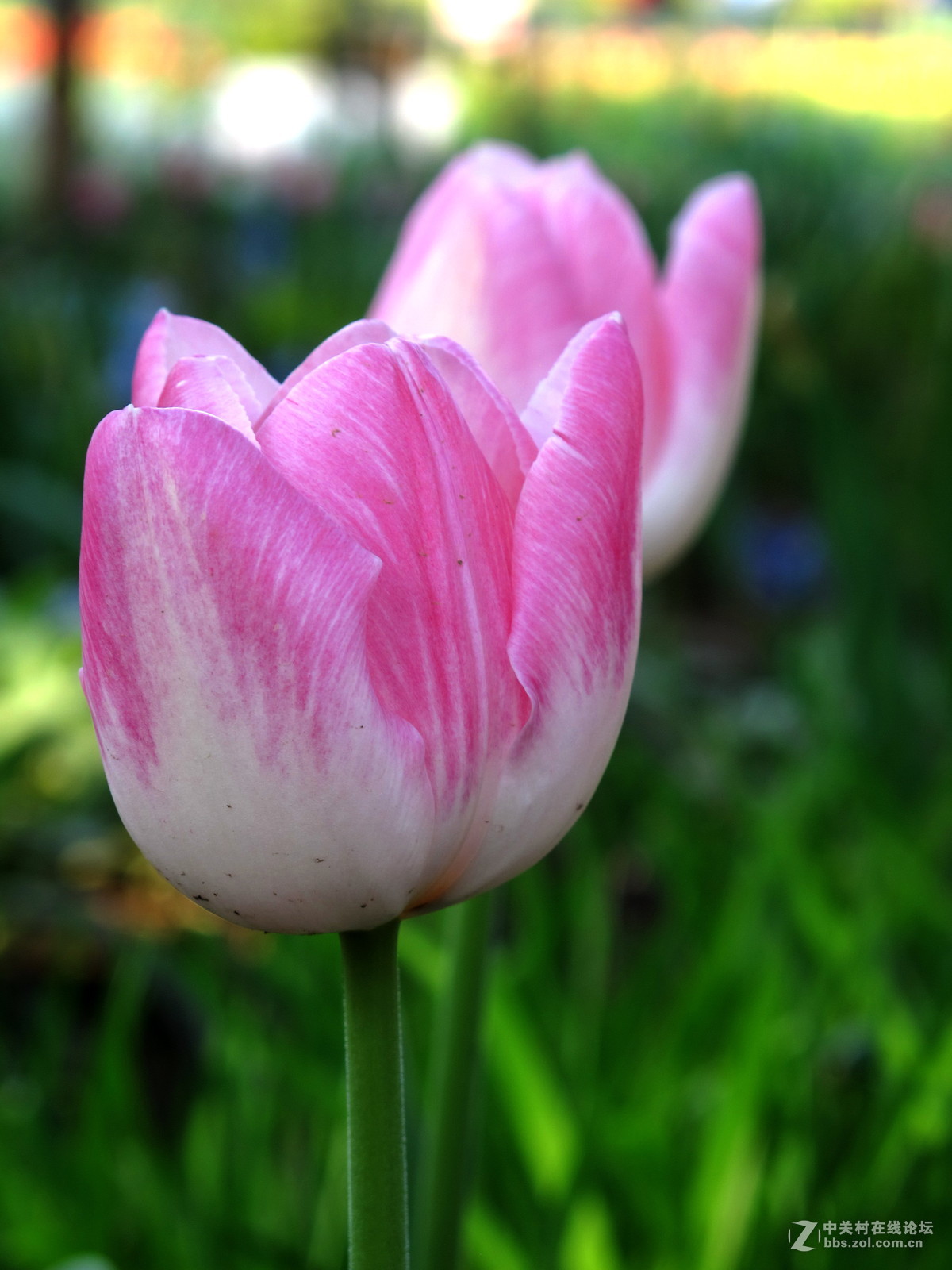 好久没来了，冒下泡！