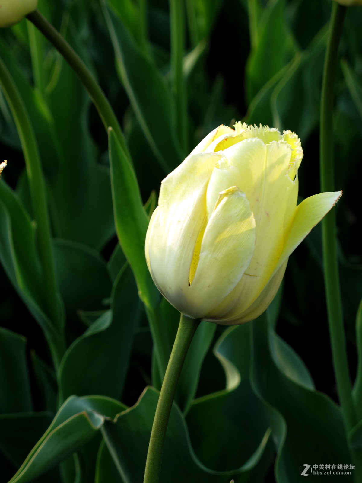 好久没来了，冒下泡！